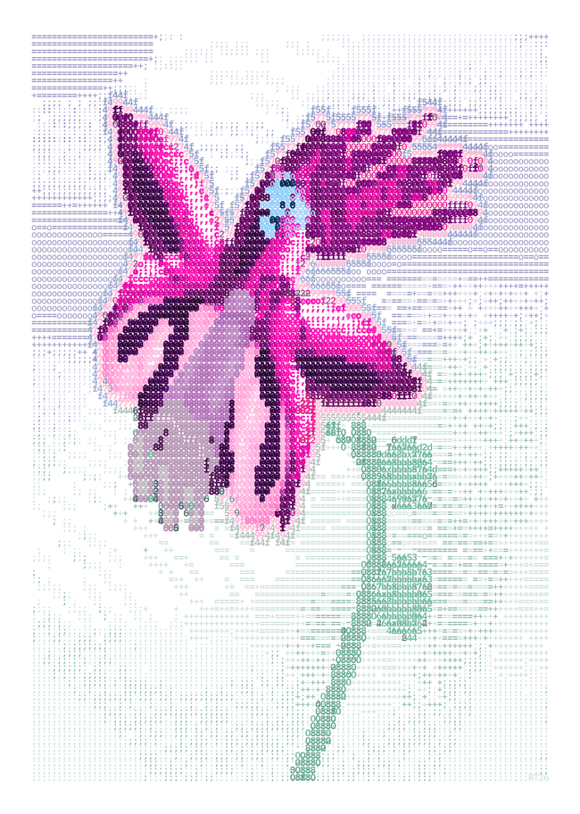 One magenta columbine on white typographic paper.