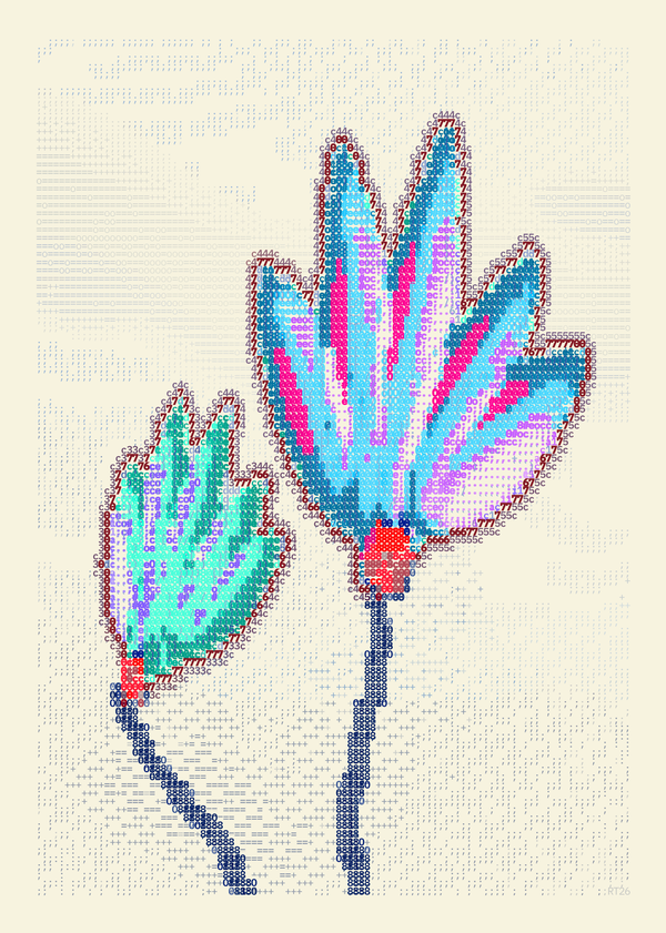 Two cyclamen with swept upright petals in cyan, turquoise and magenta, coral edges and slender cobalt stems, set against typographic clouds on ivory.