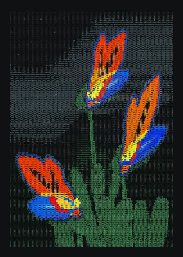 Three orange and cobalt Strelitzia heads rise at contrasting angles against black, with green foliage and fine typographic clouds.